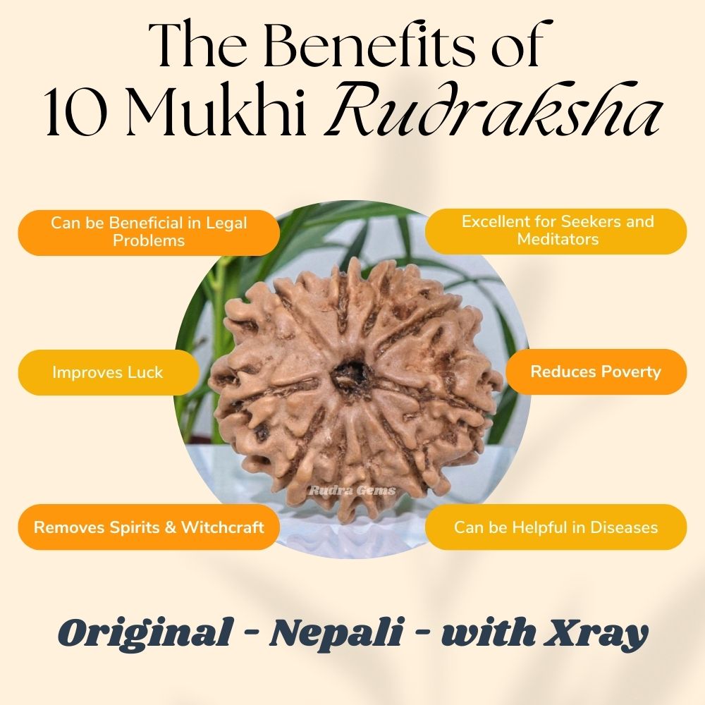 10 Mukhi Rudraksha Benefits