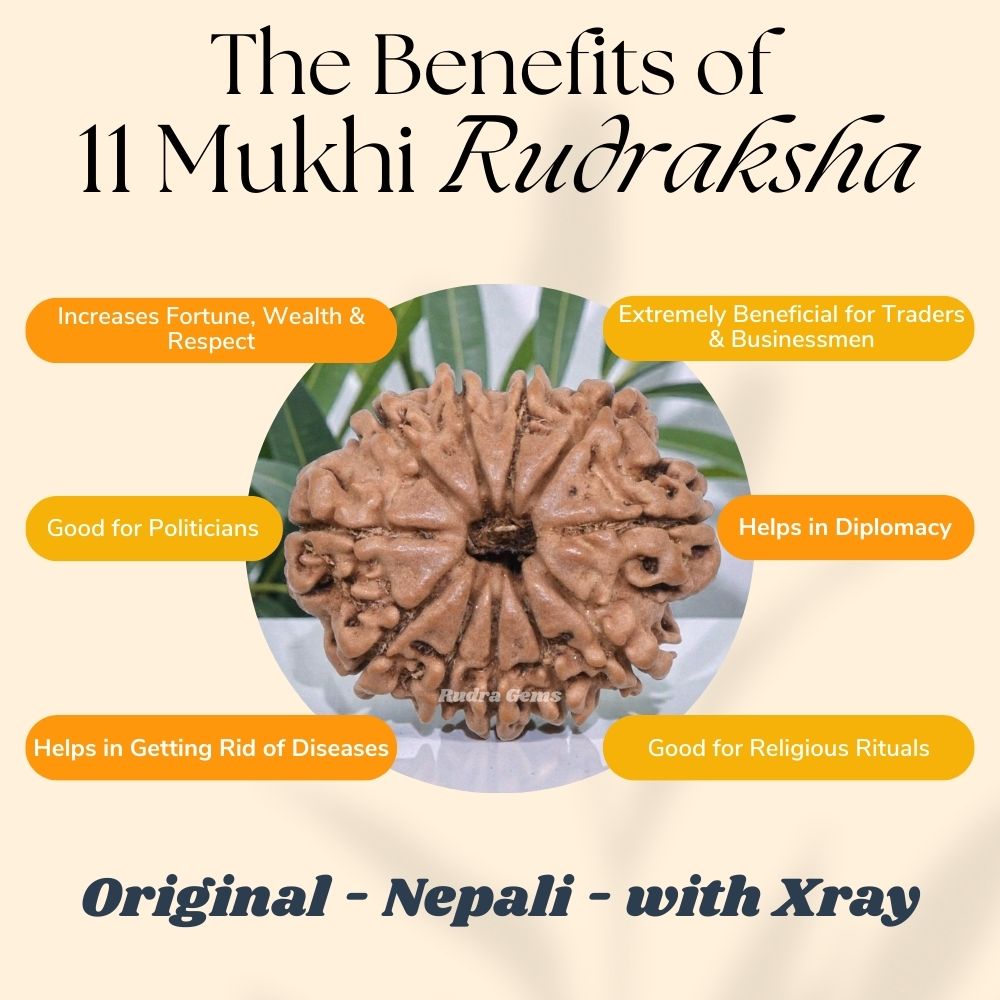 11 Mukhi Rudraksha Benefits