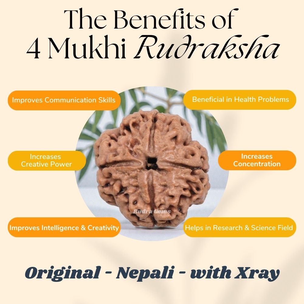 4 Mukhi Rudraksha Benefits