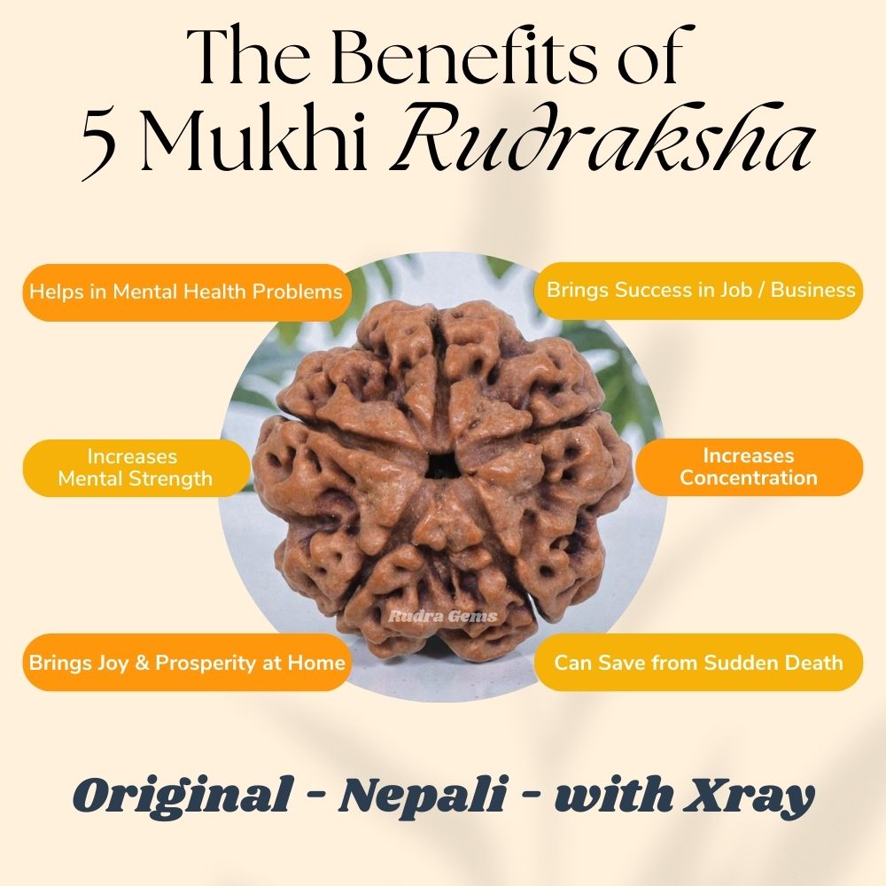 5 Mukhi Rudraksha Benefits
