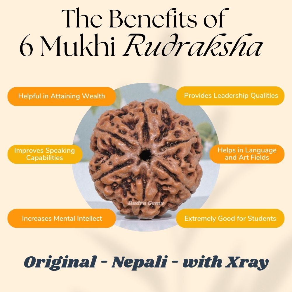 6 Mukhi Rudraksha Benefits