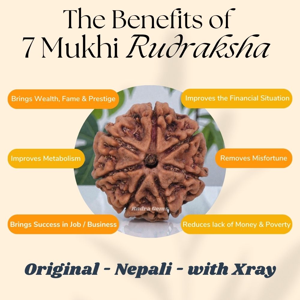 7 Mukhi Rudraksha Benefits