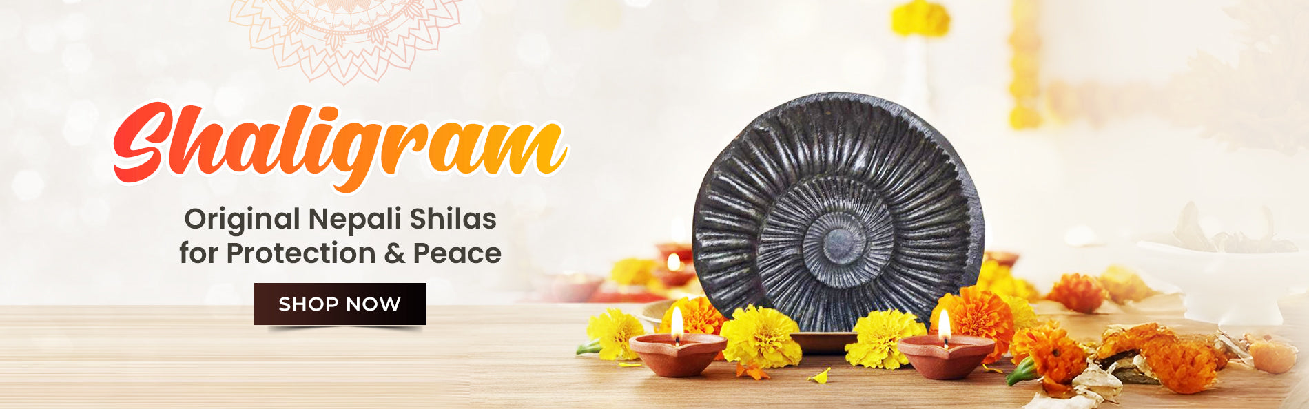 Shaligram Shilas