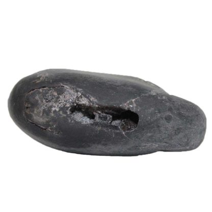 151gms-Laxmi-Vishnu-Shaligram