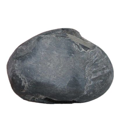 151gms-Laxmi-Vishnu-Shaligram-Front