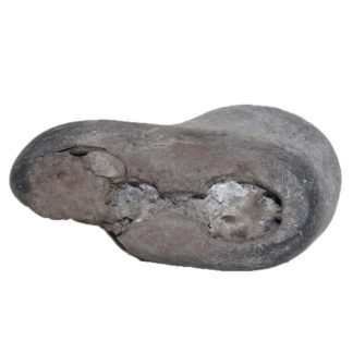 HariHara Shaligram