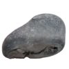 169gms-HariHara-Shaligram-Back