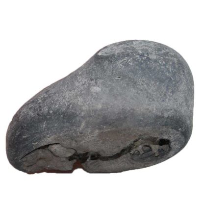 169gms-HariHara-Shaligram-Back