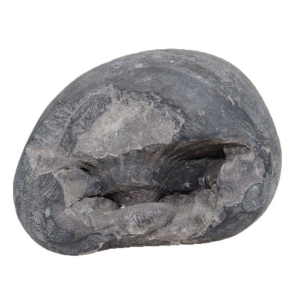 183gms-Kurma-Shaligram