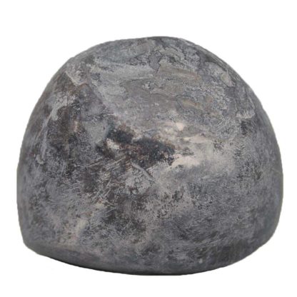 183gms-Kurma-Shaligram-Back