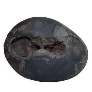 187gms-Santan-Gopala-Shaligram