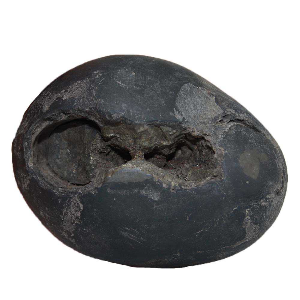 187gms Santan Gopala Shaligram Shila from Gandaki River Nepal