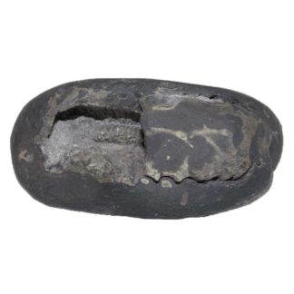 250gms-Laxmi-Narayan-Shaligram