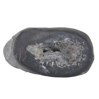 319gms-Laxmi-Narayan-Shaligram