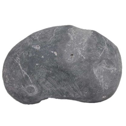 368gms-Kurma-Shaligram-Back