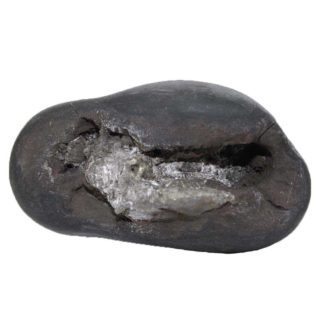 390gms-Laxmi-Narayan-Shaligram