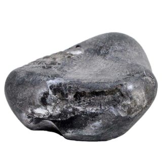 115gms-Kurma-Shaligram