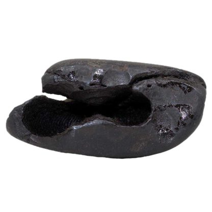 126gms-Rama-Shaligram