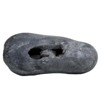 141gms-Rama-Shaligram