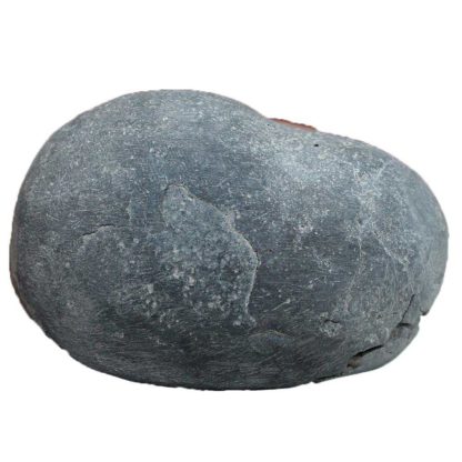 160gms-Laxmi-Vishnu-Shaligram-Front