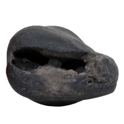 173gms-Laxmi-Hayagriva-Shaligram