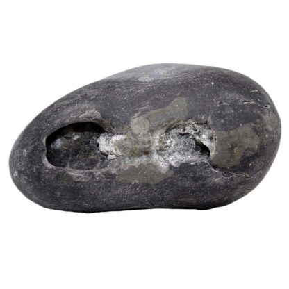 281gms-Laxmi-Vishnu-Shaligram