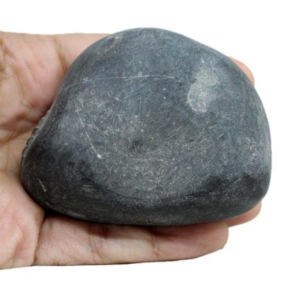 281gms-Laxmi-Vishnu-Shaligram-Back