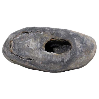 330gms-Laxmi-Vishnu-Shaligram