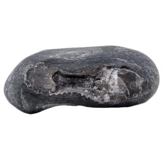 92gms-Laxmi-Vishnu-Shaligram