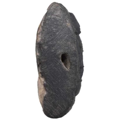 117gms-Vaman-Murti-Shaligram-Side