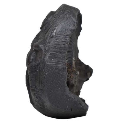 136gms-Vaman-Murti-Shaligram-Side-2