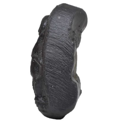 141gms-Vaman-Murti-Shaligram-Side-2