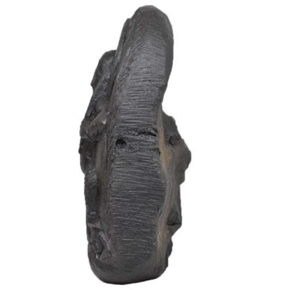 145gms-Vaman-Murti-Shaligram-Side-2