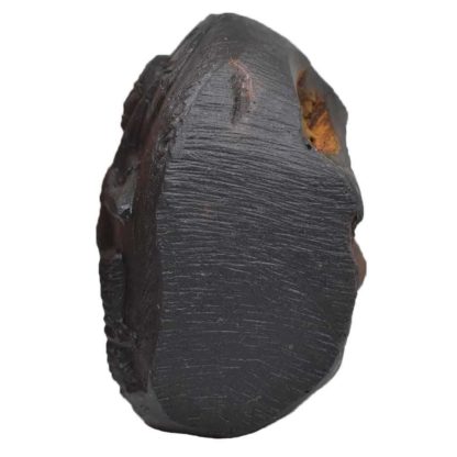 192gms-Vaman-Murti-Shaligram-Side-2