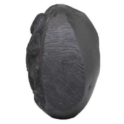 214gms-Vaman-Murti-Shaligram-Side-2