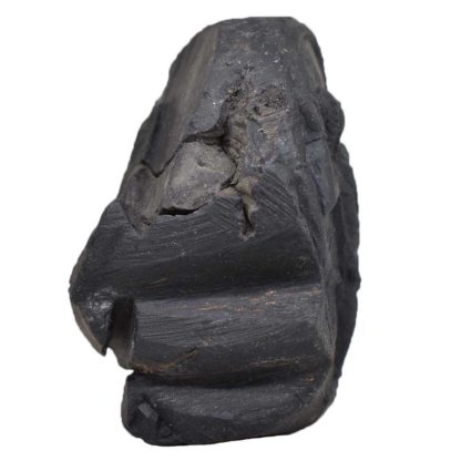 230gms-Hanuman-Murti-Shaligram-Side