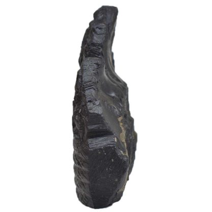 119gms-Vishnu-Murti-Shaligram-Side-2