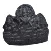 130gms-Vishnu-Murti-Shaligram