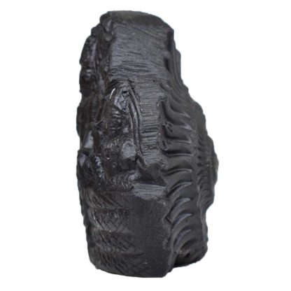 130gms-Vishnu-Murti-Shaligram-Side-2