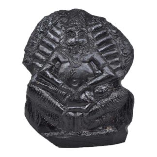 133gms-NarSimha-Murti-Shaligram