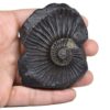 133gms-NarSimha-Murti-Shaligram-Back