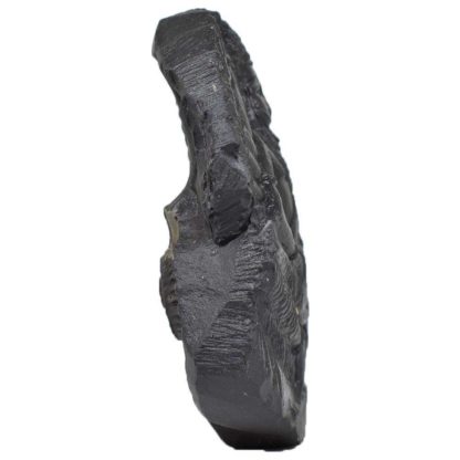 133gms-NarSimha-Murti-Shaligram-Side