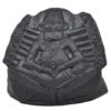 135gms-NarSimha-Murti-Shaligram