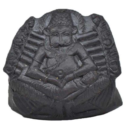 135gms-NarSimha-Murti-Shaligram