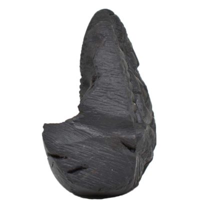 135gms-NarSimha-Murti-Shaligram-Side