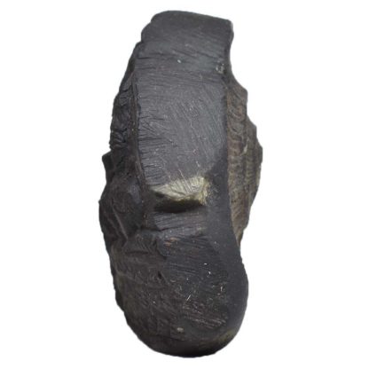 140gms-Vishnu-Murti-Shaligram-Side-2