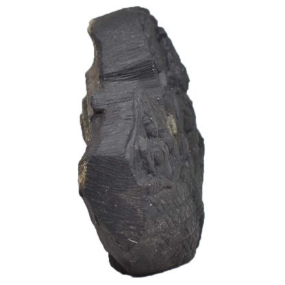 140gms-Vishnu-Murti-Shaligram-Side