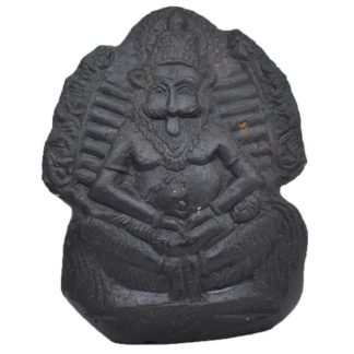 152gms-NarSimha-Murti-Shaligram