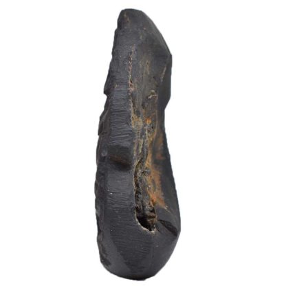 152gms-NarSimha-Murti-Shaligram-Side-2