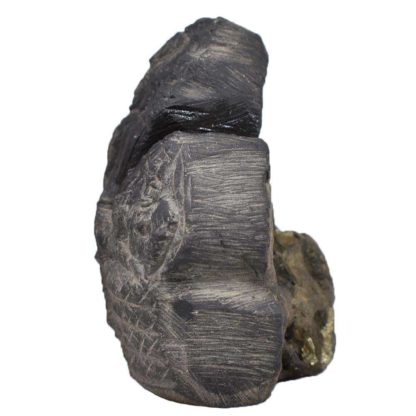 182gms-Vishnu-Murti-Shaligram-Side-2